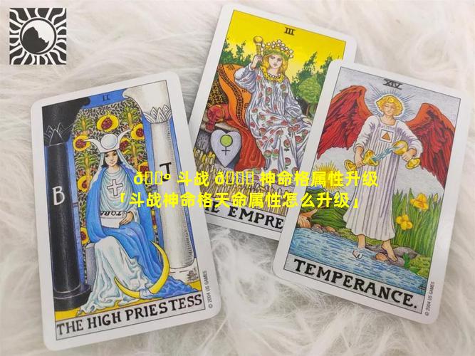 🐺 斗战 🕊 神命格属性升级「斗战神命格天命属性怎么升级」